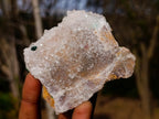 Natural Ball Malachite Specimen on Dolomite Matrix x 1 From Kambove, Congo