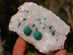 Natural Ball Malachite Specimen on Dolomite Matrix x 1 From Kambove, Congo