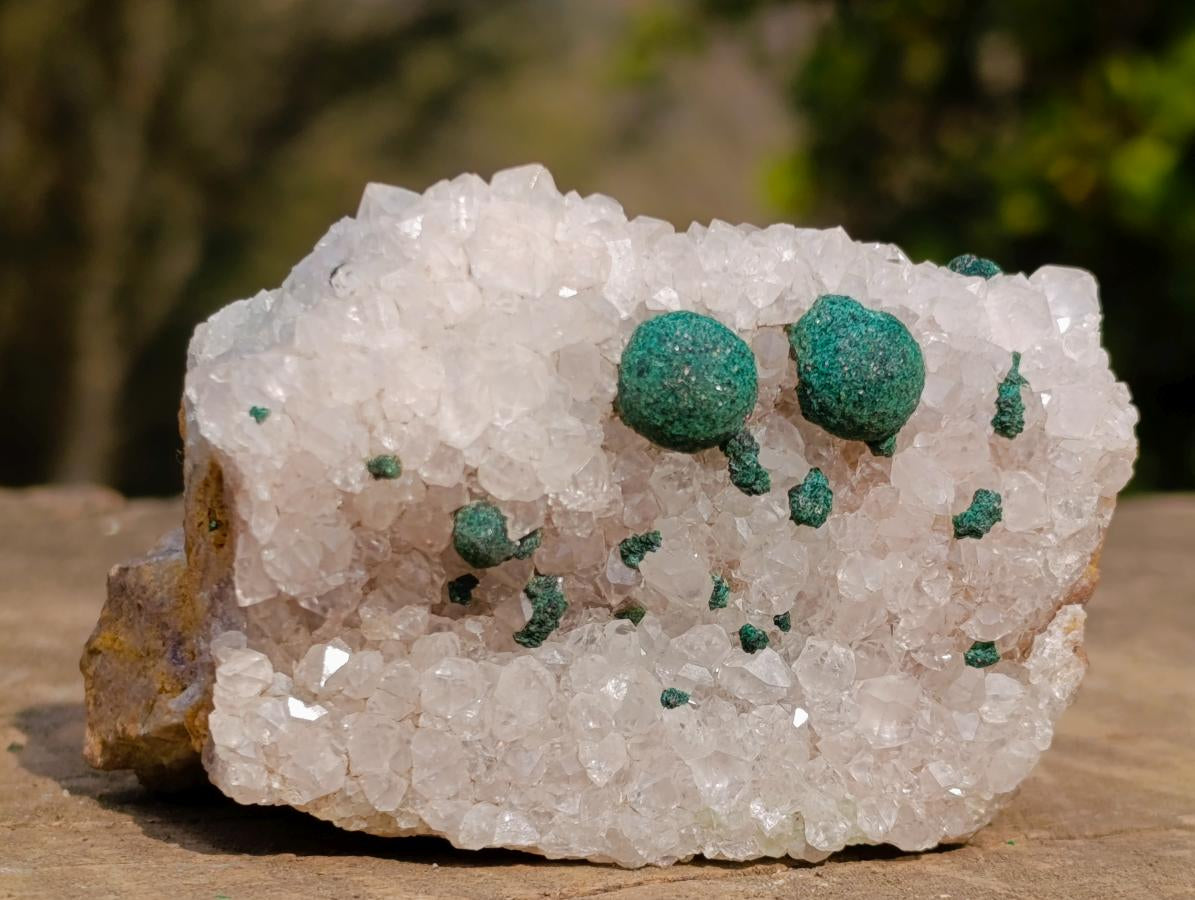 Natural Ball Malachite Specimen on Dolomite Matrix x 1 From Kambove, Congo