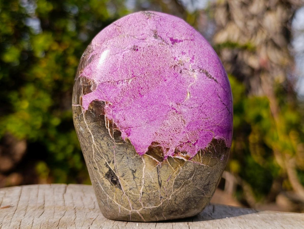 Polished Rare Stichtite Standing Display Piece x 1 From Barberton, South Africa