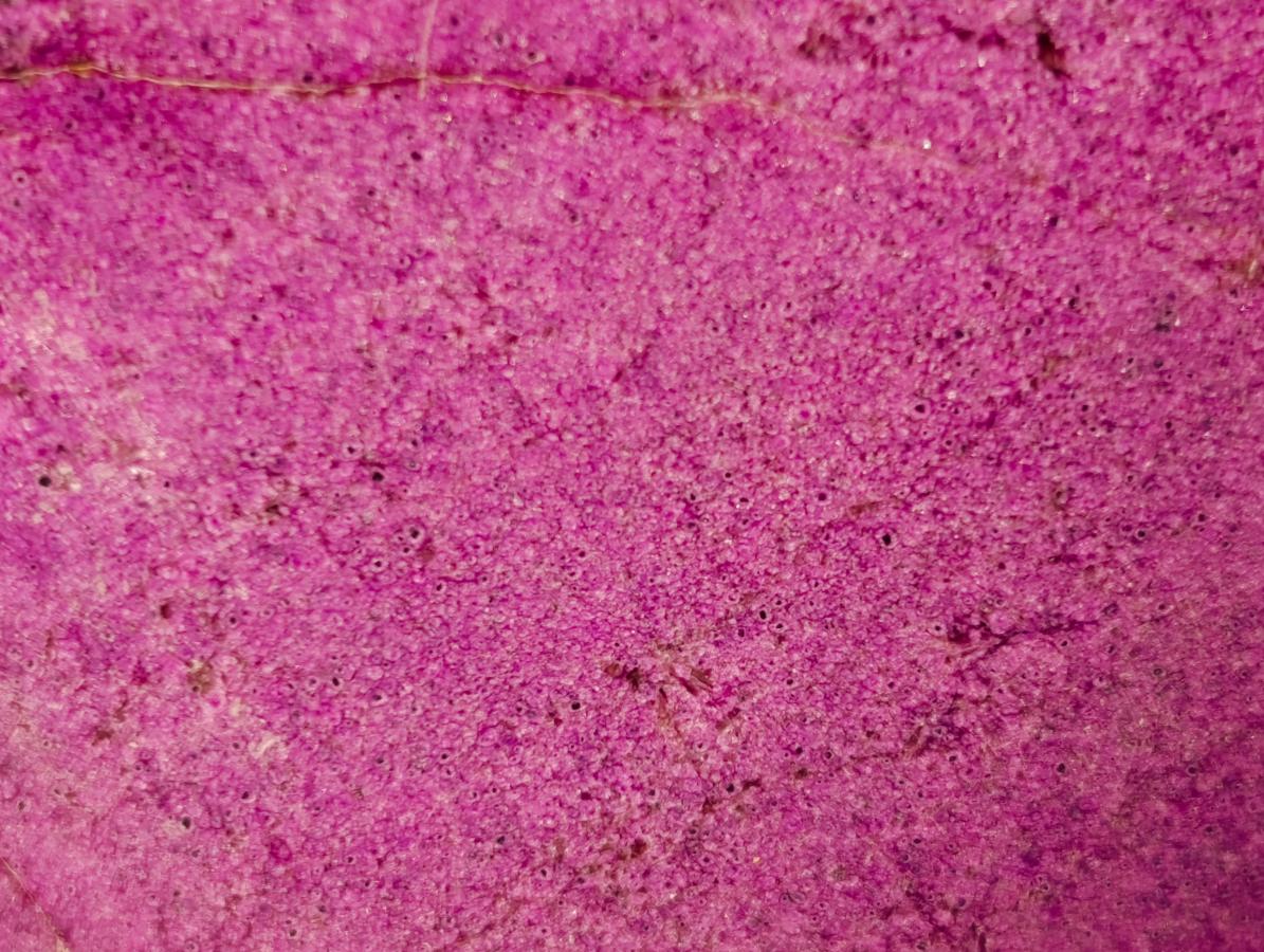 Polished Rare Stichtite Standing Display Piece x 1 From Barberton, South Africa