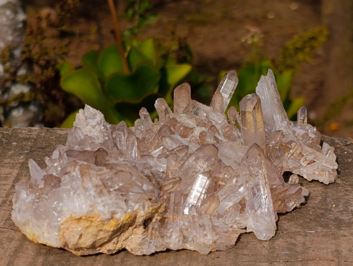 Natural Complex Clear and Bright Crystal Cluster x 1 From Madagascar