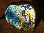 Polished Blue Flash Labradorite Standing Display Piece x 1 From Tulear, Madagascar
