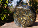 Polished Blue Flash Labradorite Standing Display Piece x 1 From Tulear, Madagascar