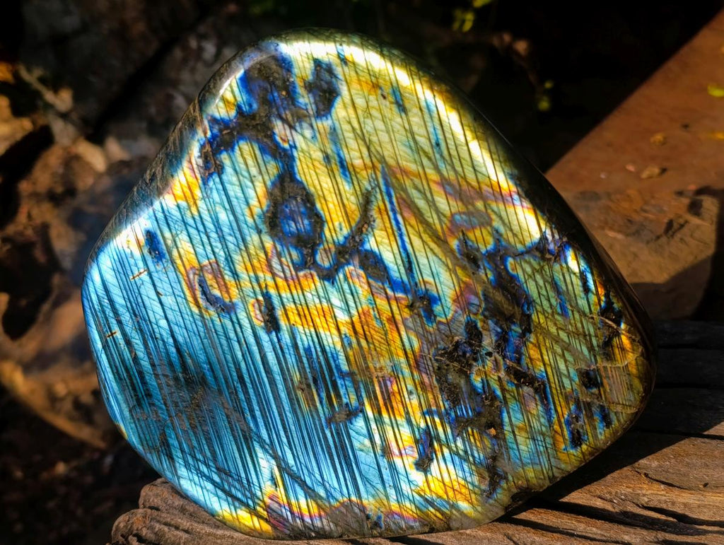 Polished Blue Flash Labradorite Standing Display Piece x 1 From Tulear, Madagascar