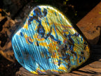 Polished Blue Flash Labradorite Standing Display Piece x 1 From Tulear, Madagascar