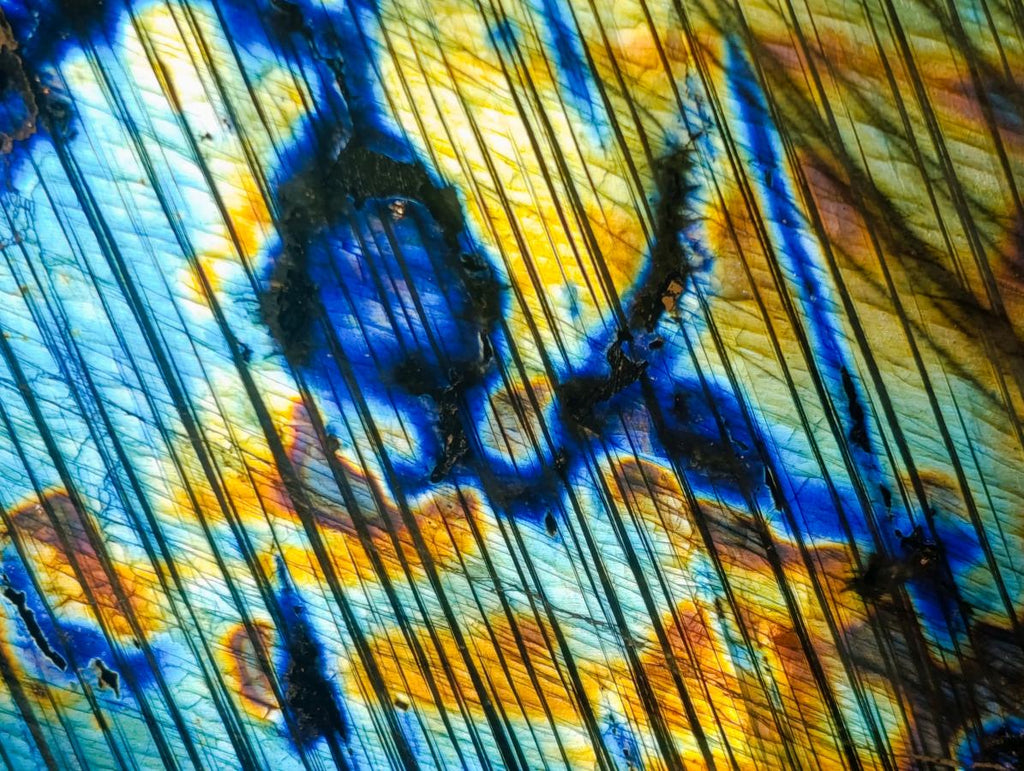 Polished Blue Flash Labradorite Standing Display Piece x 1 From Tulear, Madagascar