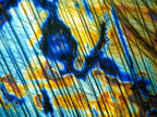 Polished Blue Flash Labradorite Standing Display Piece x 1 From Tulear, Madagascar