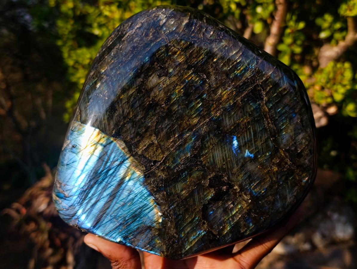 Polished Blue Flash Labradorite Standing Display Piece x 1 From Tulear, Madagascar
