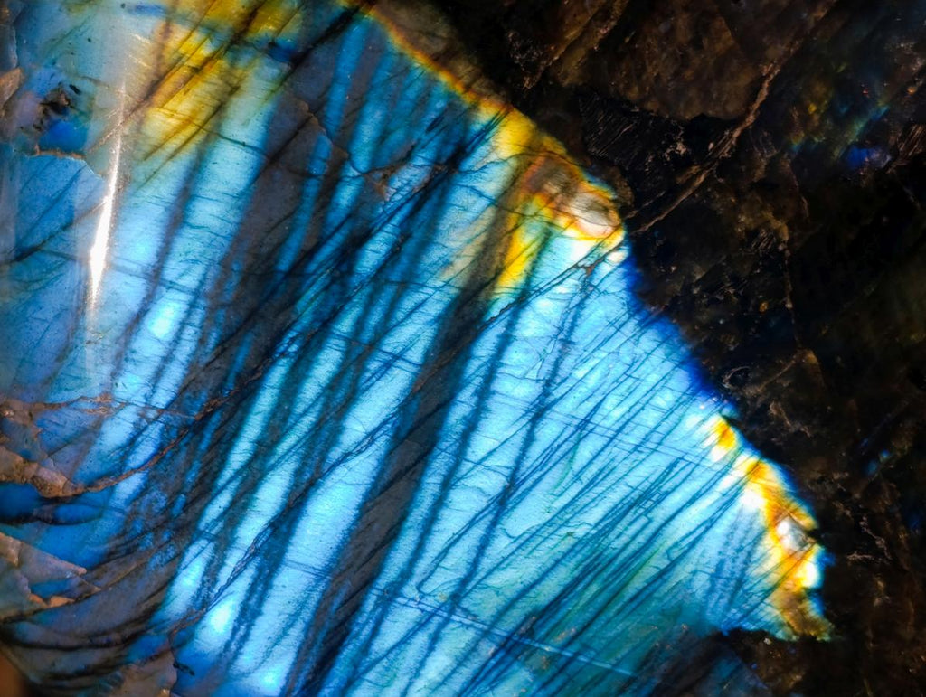 Polished Blue Flash Labradorite Standing Display Piece x 1 From Tulear, Madagascar