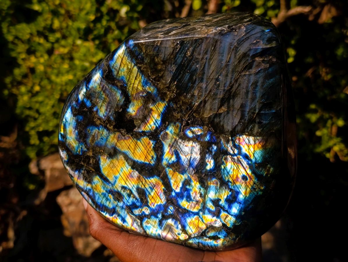 Polished Blue Flash Labradorite Standing Display Piece x 1 From Tulear, Madagascar