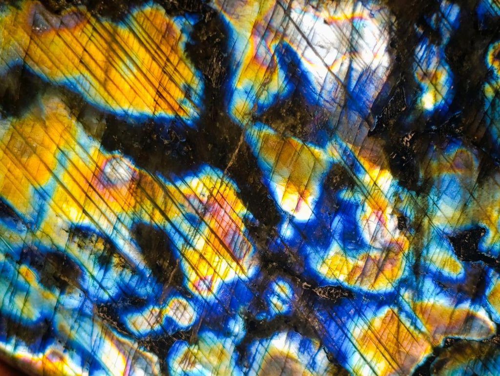 Polished Blue Flash Labradorite Standing Display Piece x 1 From Tulear, Madagascar
