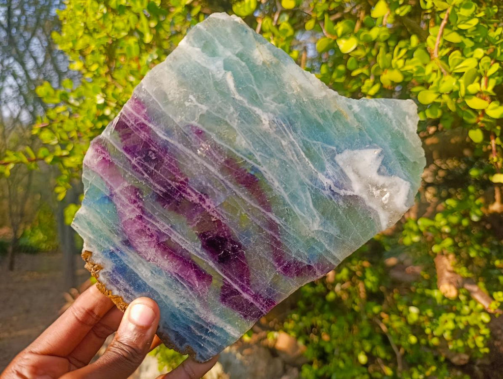 Polished Large Translucent Watermelon Fluorite Slice x 1 From Uis, Namibia