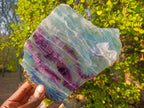 Polished Large Translucent Watermelon Fluorite Slice x 1 From Uis, Namibia