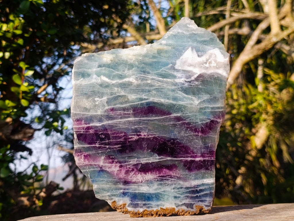Polished Large Translucent Watermelon Fluorite Slice x 1 From Uis, Namibia