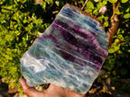 Polished Large Translucent Watermelon Fluorite Slice x 1 From Uis, Namibia