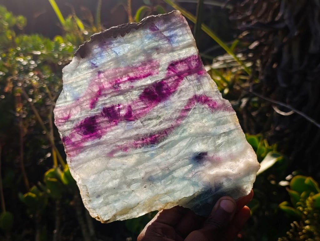 Polished Large Translucent Watermelon Fluorite Slice x 1 From Uis, Namibia