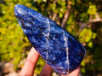 Polished Blue Sodalite Standing Display Piece x 1 From Kunene, Namibia