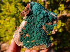 Natural Crystalline Ball Malachite Specimen x 1 From Mindingi Mine, Congo