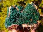 Natural Crystalline Ball Malachite Specimen x 1 From Mindingi Mine, Congo
