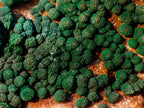Natural Crystalline Ball Malachite Specimen x 1 From Mindingi Mine, Congo