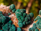 Natural Crystalline Ball Malachite Specimen x 1 From Mindingi Mine, Congo