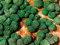 Natural Crystalline Ball Malachite Specimen x 1 From Mindingi Mine, Congo