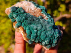 Natural Crystalline Ball Malachite Specimen x 1 From Mindingi Mine, Congo