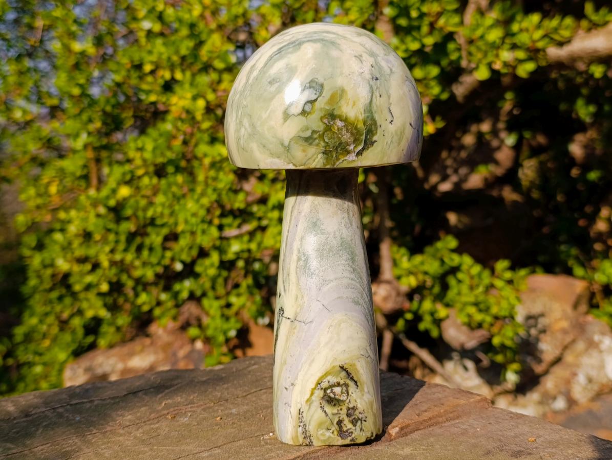 Polished Large African Butter Jade Mushroom Sculpture x 1 From South Africa