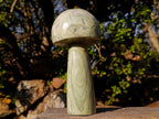 Polished Large African Butter Jade Mushroom Sculpture x 1 From South Africa