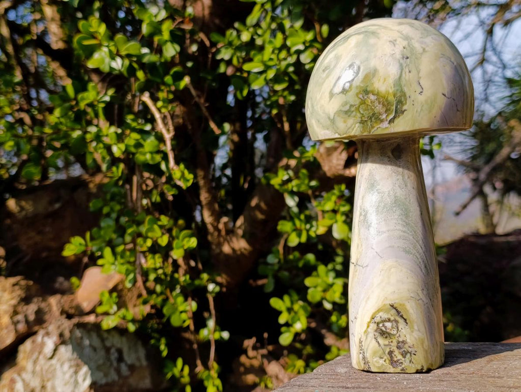 Polished Large African Butter Jade Mushroom Sculpture x 1 From South Africa