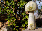 Polished Large African Butter Jade Mushroom Sculpture x 1 From South Africa