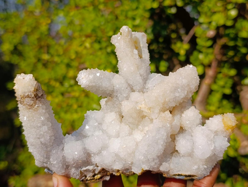 Natural Rare Lesotho Snow Finger Quartz Crystal Cluster with Calcite x 1 From Lesotho
