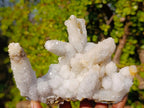 Natural Rare Lesotho Snow Finger Quartz Crystal Cluster with Calcite x 1 From Lesotho