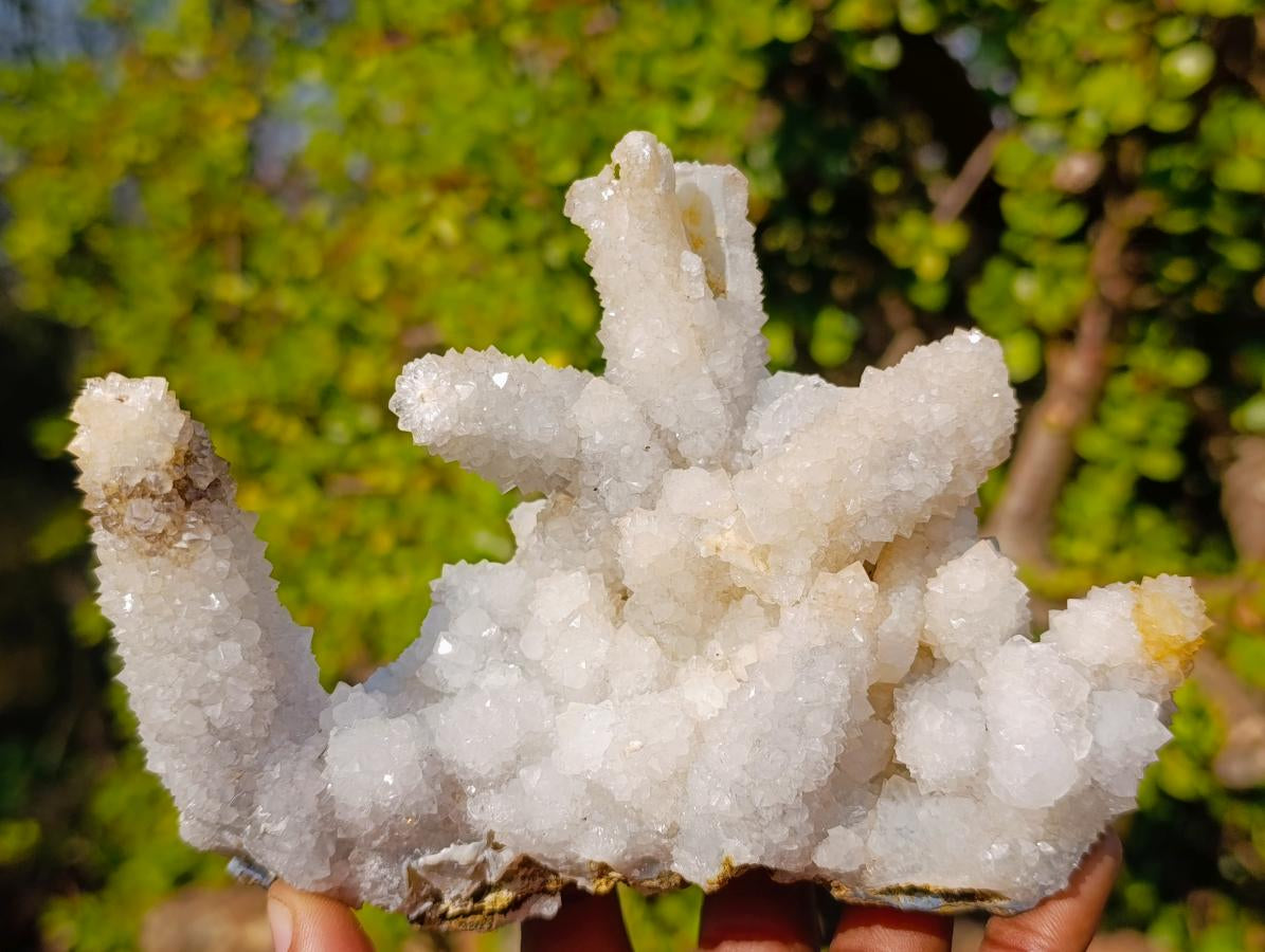 Natural Rare Lesotho Snow Finger Quartz Crystal Cluster with Calcite x 1 From Lesotho