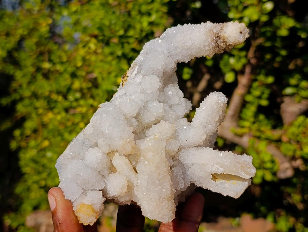 Natural Rare Lesotho Snow Finger Quartz Crystal Cluster with Calcite x 1 From Lesotho