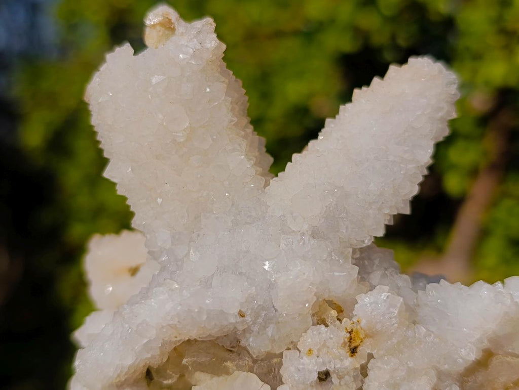 Natural Rare Lesotho Snow Finger Quartz Crystal Cluster with Calcite x 1 From Lesotho