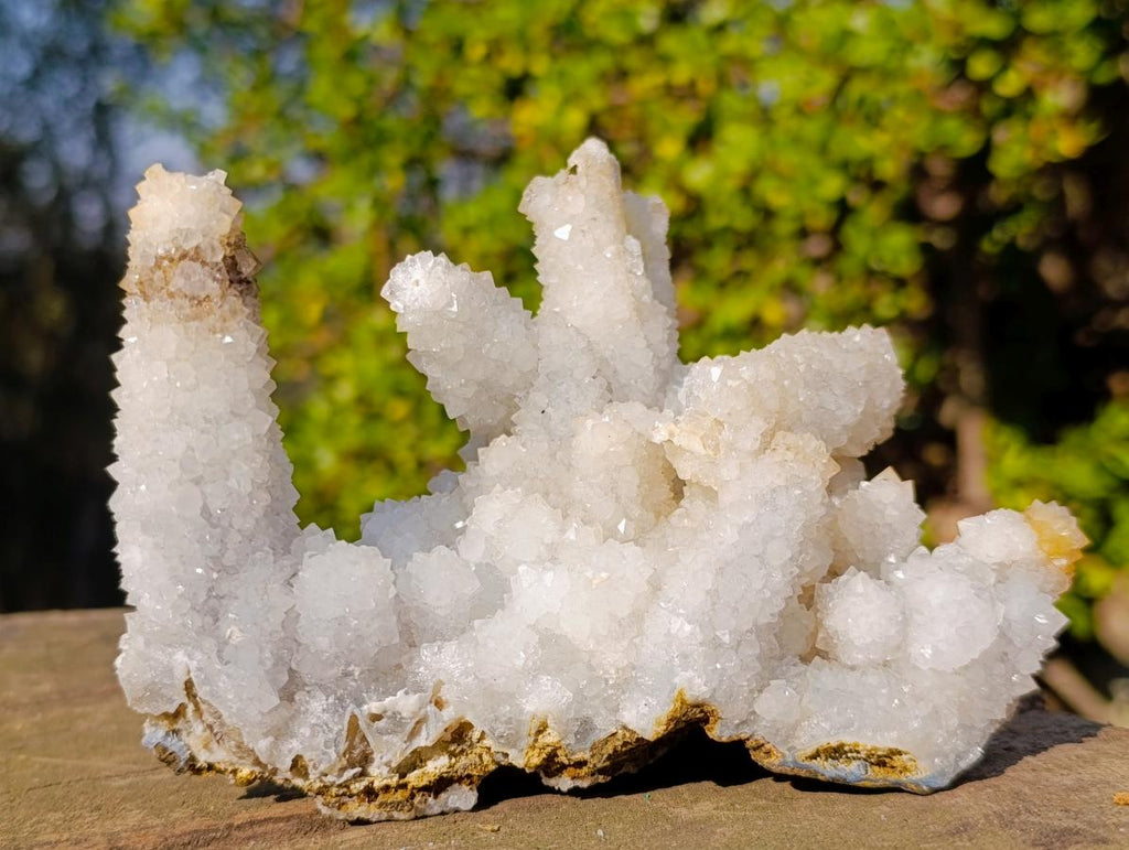 Natural Rare Lesotho Snow Finger Quartz Crystal Cluster with Calcite x 1 From Lesotho