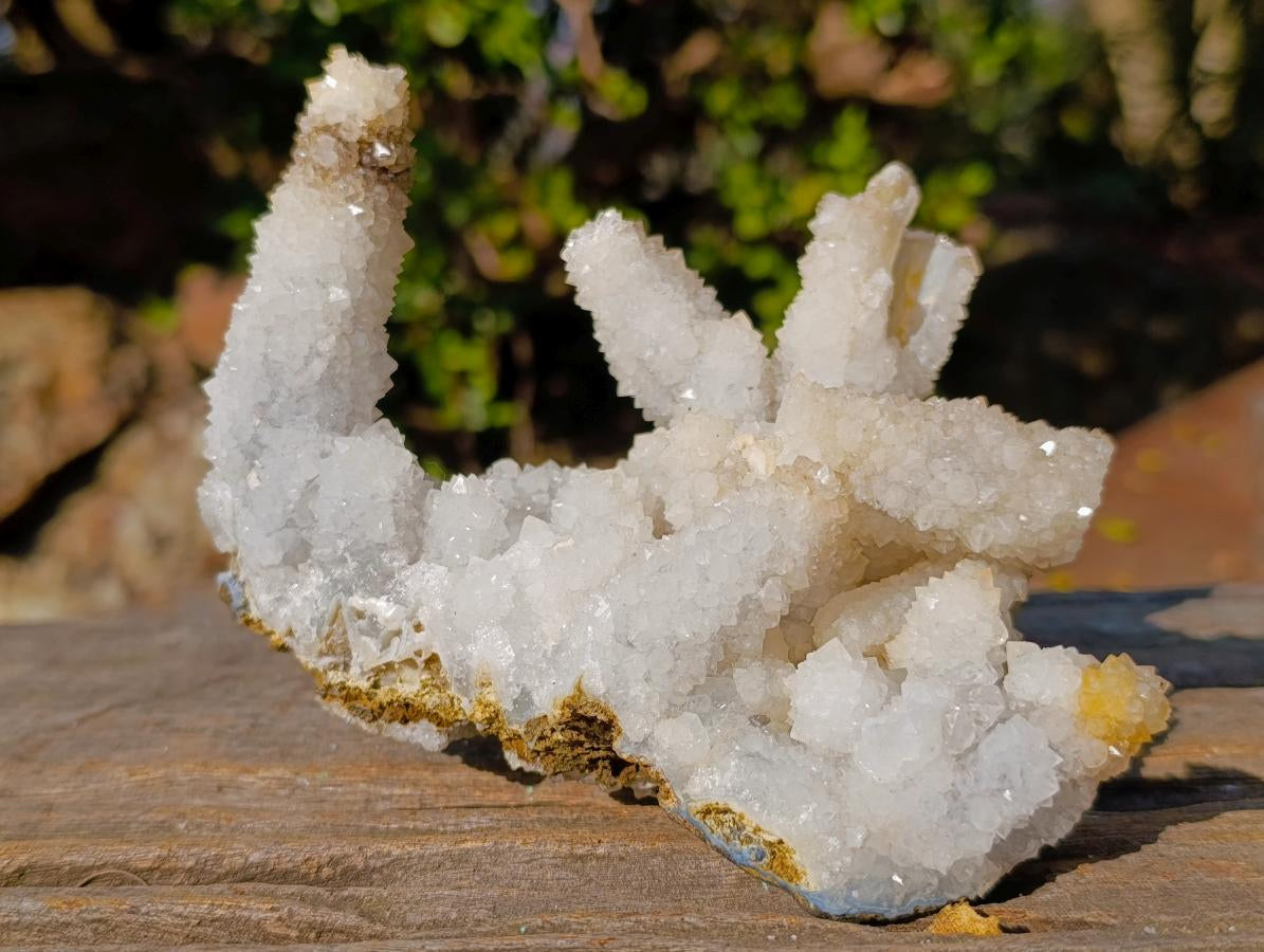 Natural Rare Lesotho Snow Finger Quartz Crystal Cluster with Calcite x 1 From Lesotho