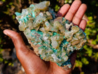 Natural Large Cabinet Size Bladed Barite Specimen with Malachite x 1 From Shinkolobwe Mine, Congo