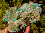 Natural Large Cabinet Size Bladed Barite Specimen with Malachite x 1 From Shinkolobwe Mine, Congo