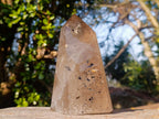 Polished Smokey Quartz Crystal with Specular Hematite Floating Inclusions x 1 From Madagascar
