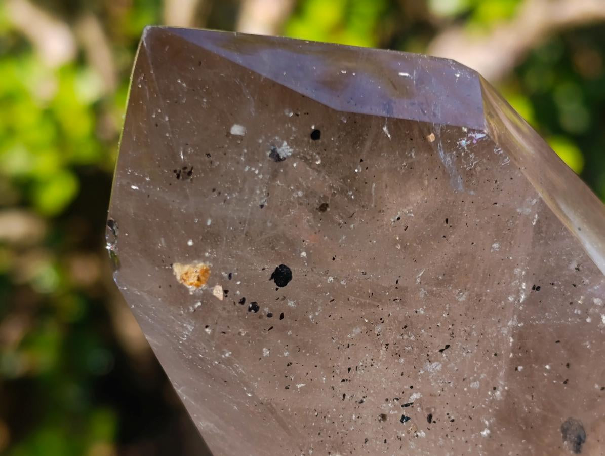 Polished Smokey Quartz Crystal with Specular Hematite Floating Inclusions x 1 From Madagascar