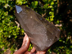 Polished Smokey Quartz Crystal with Specular Hematite Floating Inclusions x 1 From Madagascar