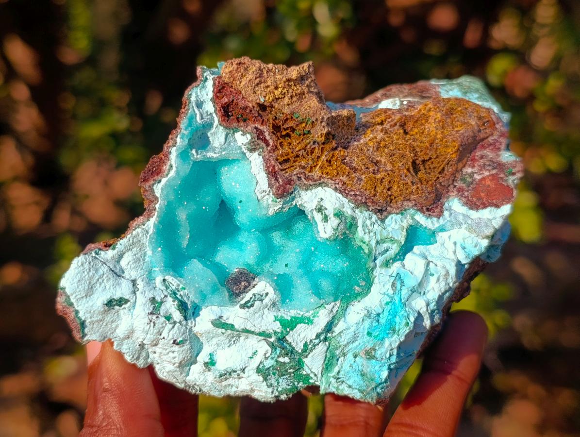Natural Cabinet Size Drusy Coated Botryoidal Chrysocolla Specimen on Dolomite x 1 From Likasi, Congo