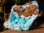 Natural Cabinet Size Drusy Coated Botryoidal Chrysocolla Specimen on Dolomite x 1 From Likasi, Congo