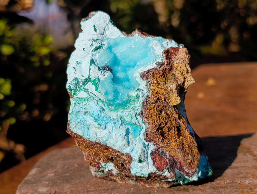Natural Cabinet Size Drusy Coated Botryoidal Chrysocolla Specimen on Dolomite x 1 From Likasi, Congo