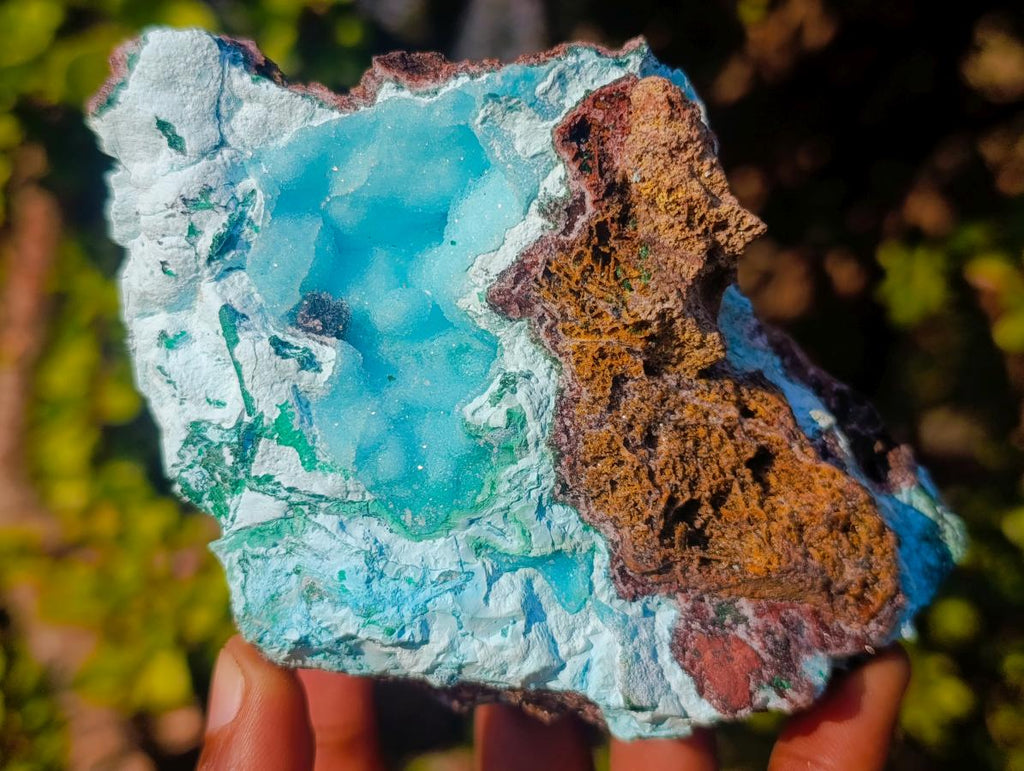Natural Cabinet Size Drusy Coated Botryoidal Chrysocolla Specimen on Dolomite x 1 From Likasi, Congo