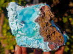 Natural Cabinet Size Drusy Coated Botryoidal Chrysocolla Specimen on Dolomite x 1 From Likasi, Congo