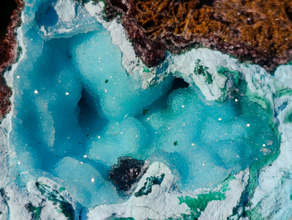 Natural Cabinet Size Drusy Coated Botryoidal Chrysocolla Specimen on Dolomite x 1 From Likasi, Congo